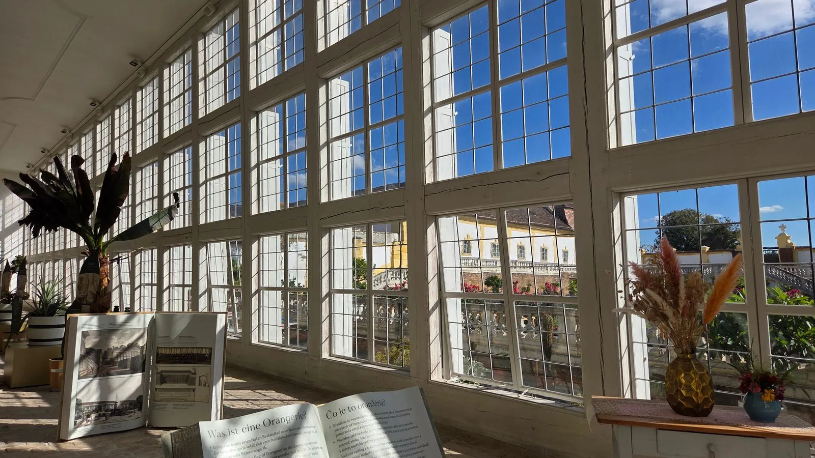 Sunny room with walls of windows, where Low-E glass helps control solar heat